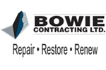 bowie logo